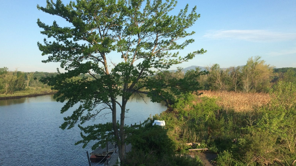 Ulster County Party Rentals