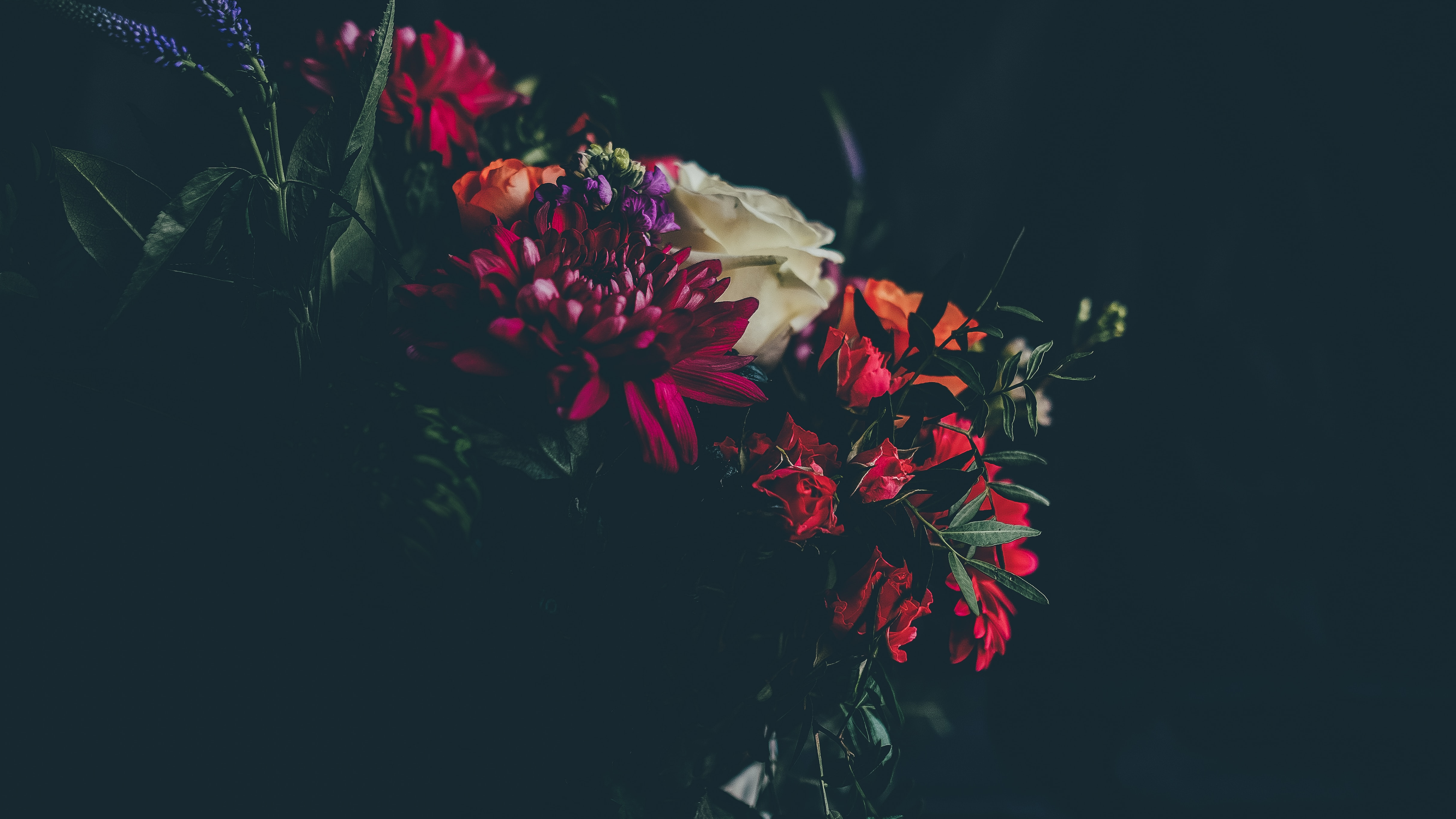 Welcome to Avant Garden
