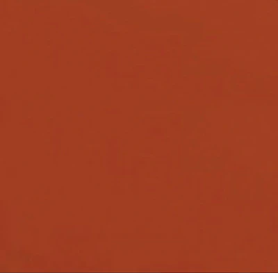 Burnt Orange Polyester