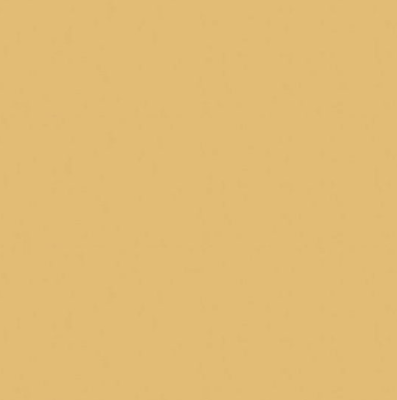 Camel Spun Polyester