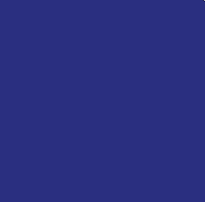 Dark Blue Polyester