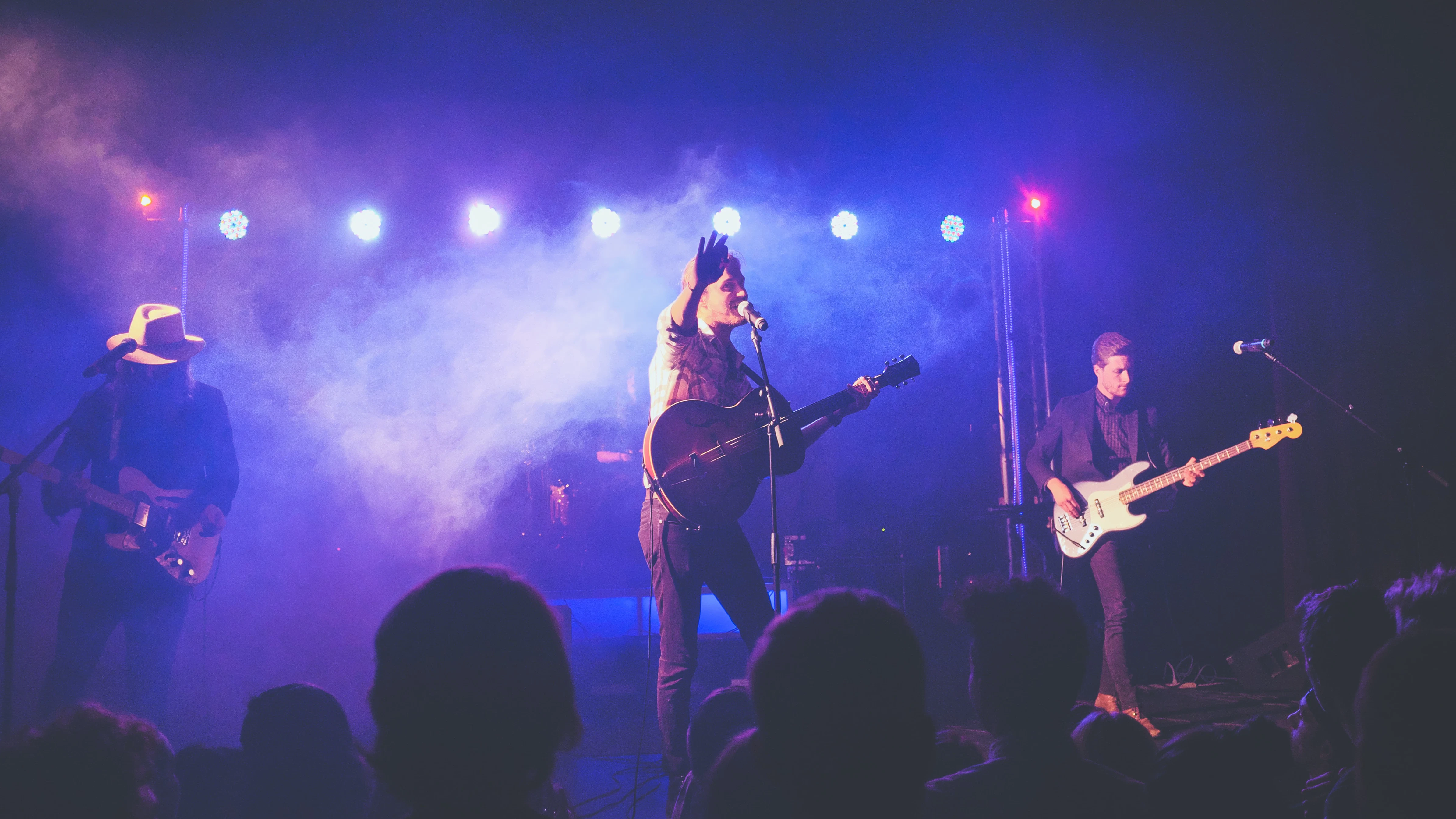 Festivals and Concerts