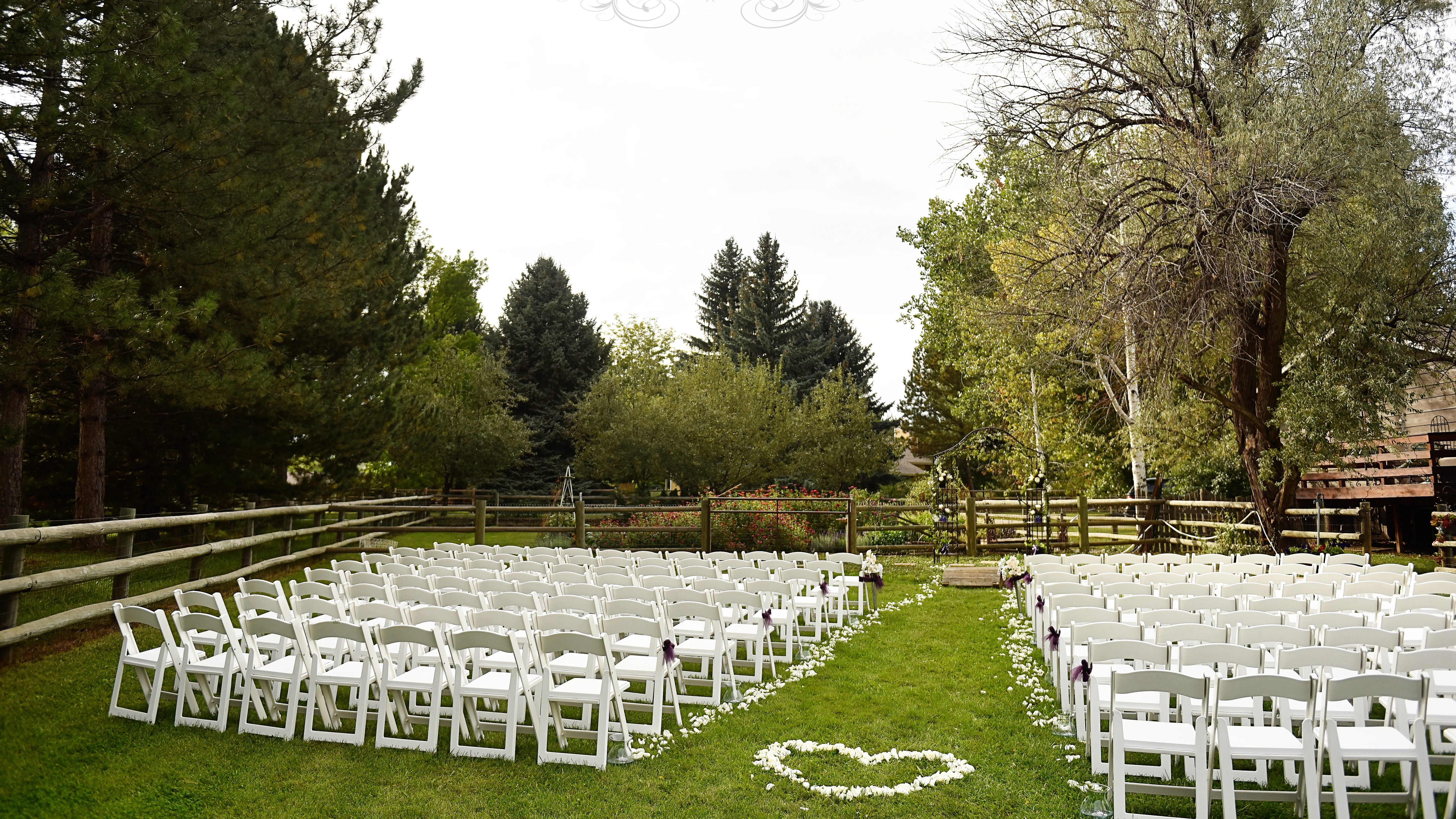 Wedding Rentals