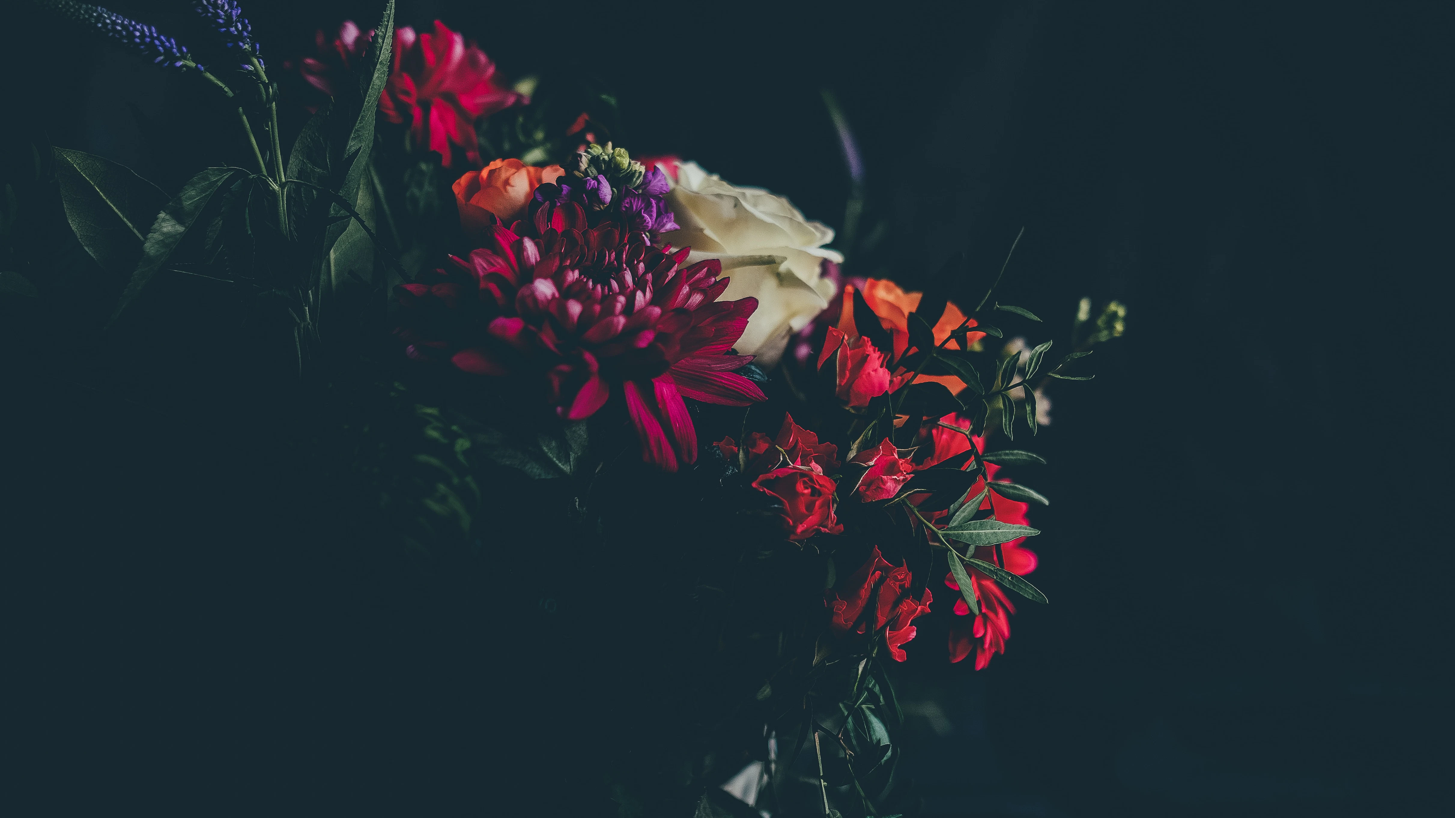 Welcome to Avant Garden