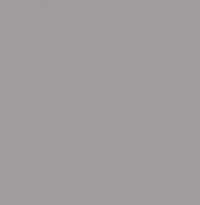 Grey Bengaline