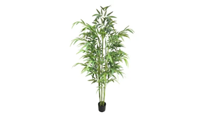 Bamboo Tree 6′
