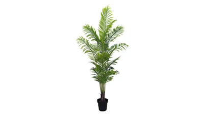 Potted Palm Tree 6′